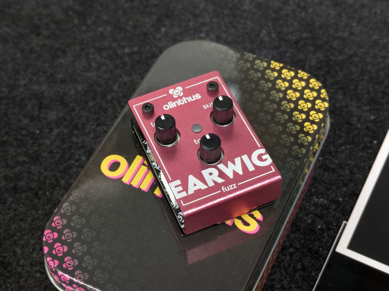 Olinthus EARWIG 極小サイズのマフ系オーバードライブ!（新品/送料無料