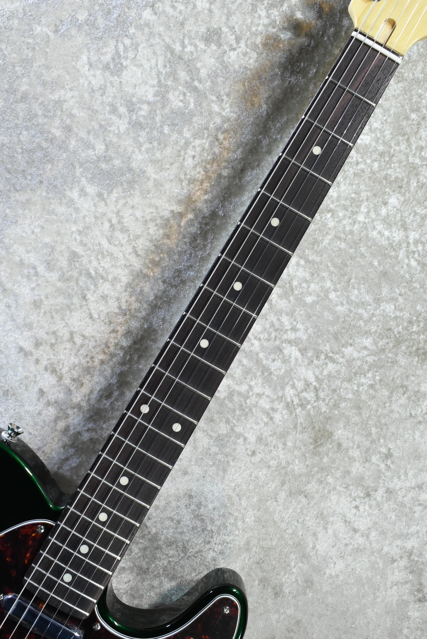 FUJIGEN(FGN) NTE100RAL Candy Apple Green #E250084【3.45kg