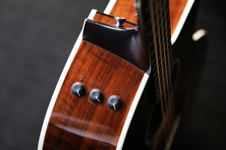 Taylor 214ce-CF DLX SB （中古）【楽器検索デジマート】