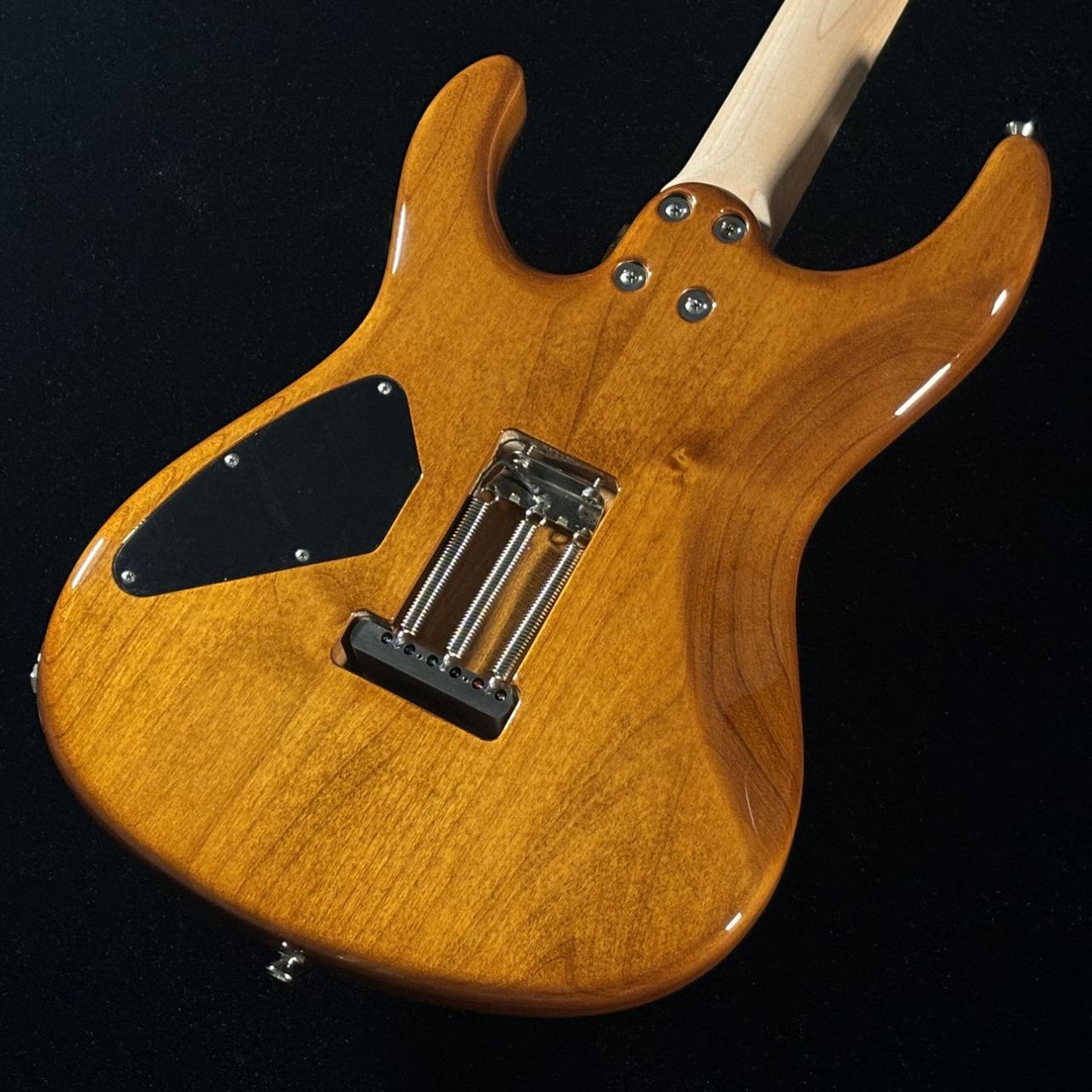 FREEDOM CUSTOM GUITAR RESEARCH OS EZa 24F FT HSH 晩秋【選定材Top