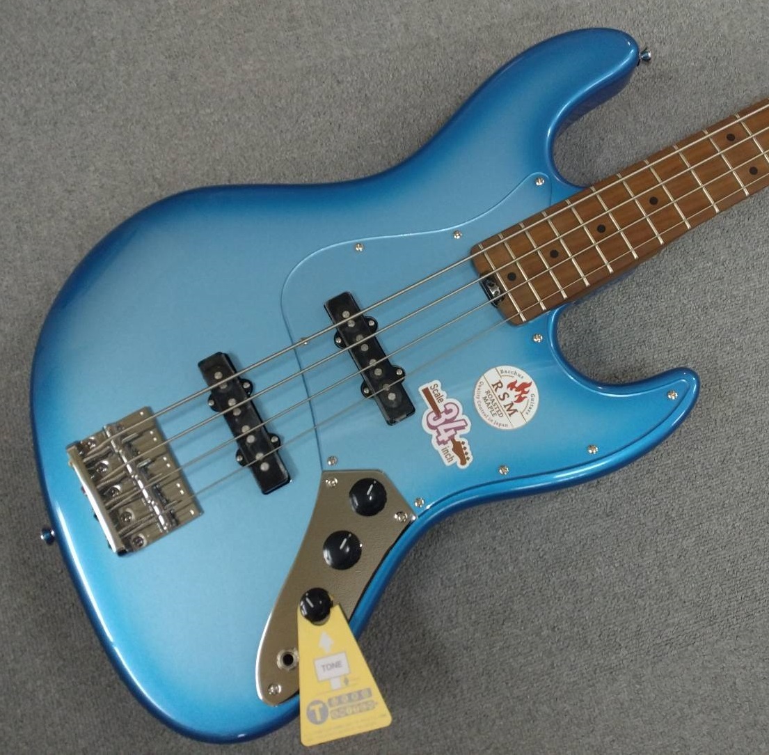 Bacchus GLOBAL Series WL4-STD/RSM SLV-LPB-BS (Silver - Lake Placid