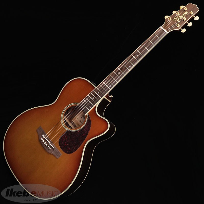 在庫価格Takamine タカミネ エレアコ ギター DMP761C VN 器 美品 S6443892 タカミネ