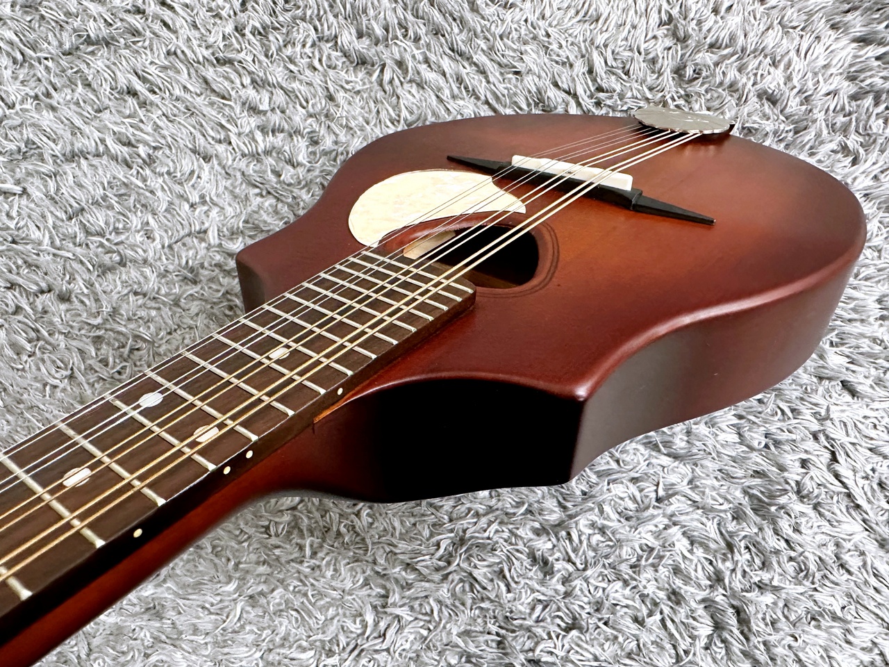 Seagull S8 Mandolin Burnt Amber 【アウトレット特価】【Made in