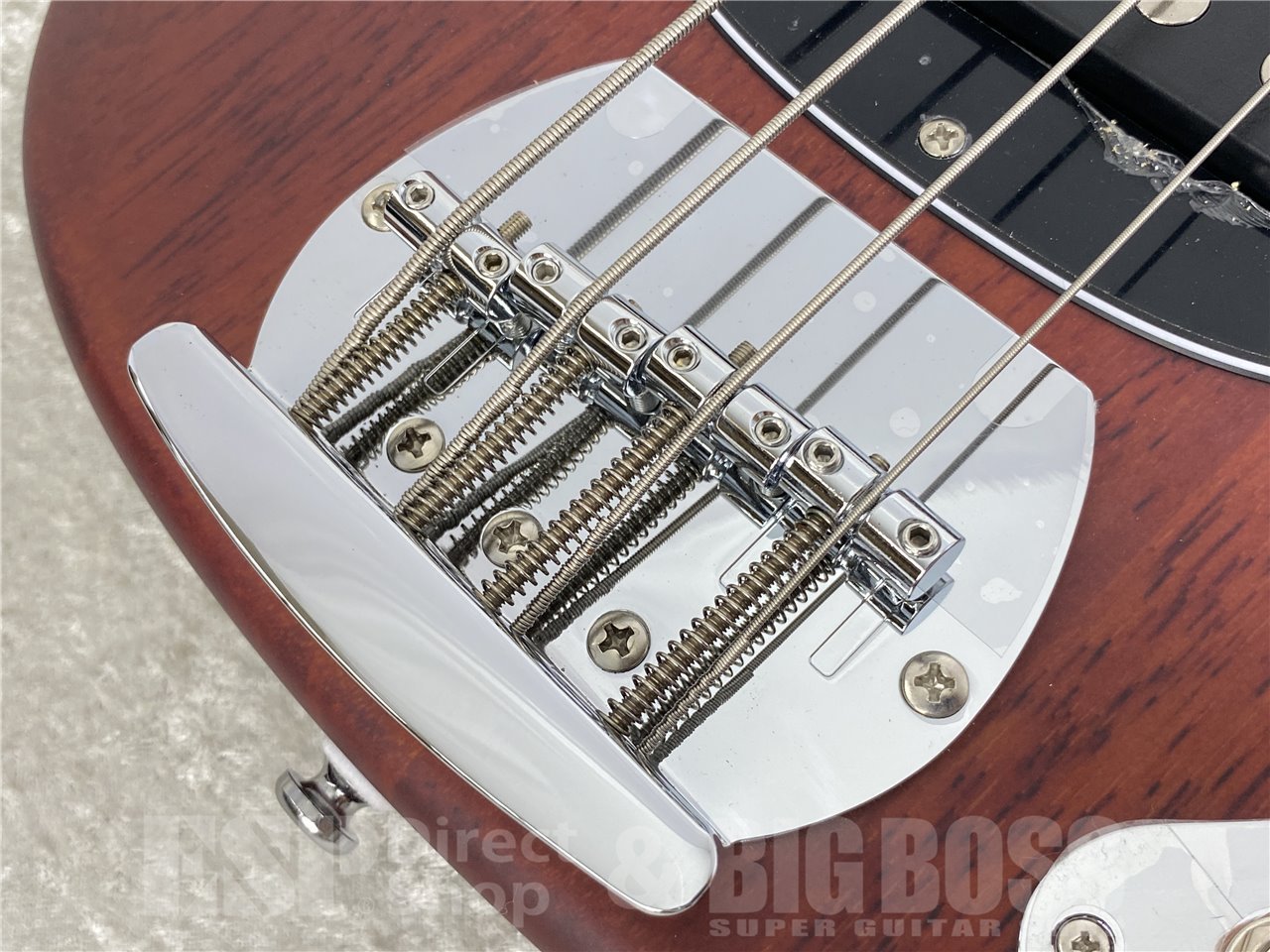 Sterling by MUSIC MAN S.U.B RAY4 (Walnut Satin)（新品/送料無料