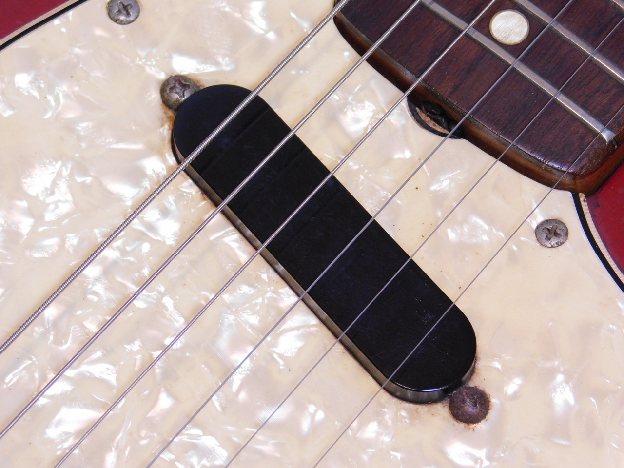 Fender Swinger '69 (Musiclander / Arrow)（ビンテージ）【楽器検索