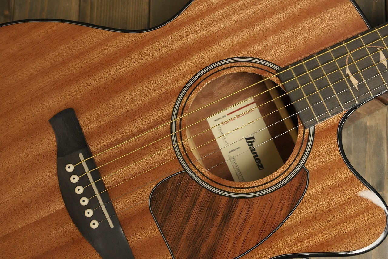 Ibanez PC34MHCE NT (Natural High Gloss) エレアコギター ケース付属
