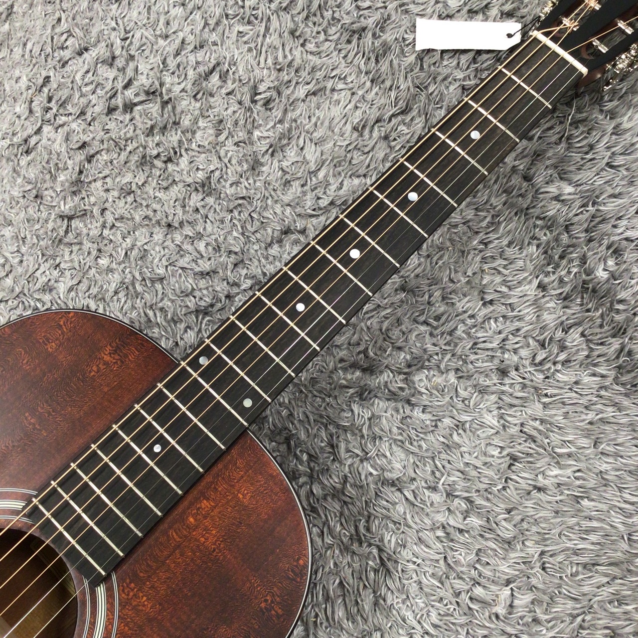 Eastman E1P-CLA 【オール単板】【パーラーサイズ】（新品/送料