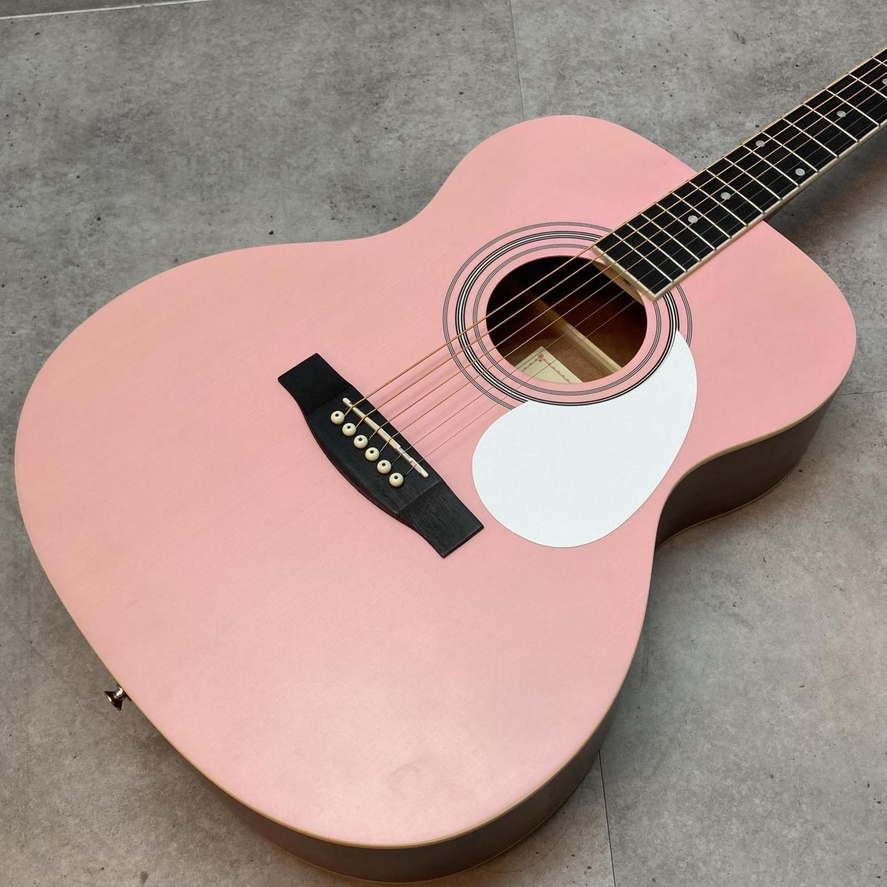 HONEY BEE F-15 N アコースティックギター 整備済み 美品