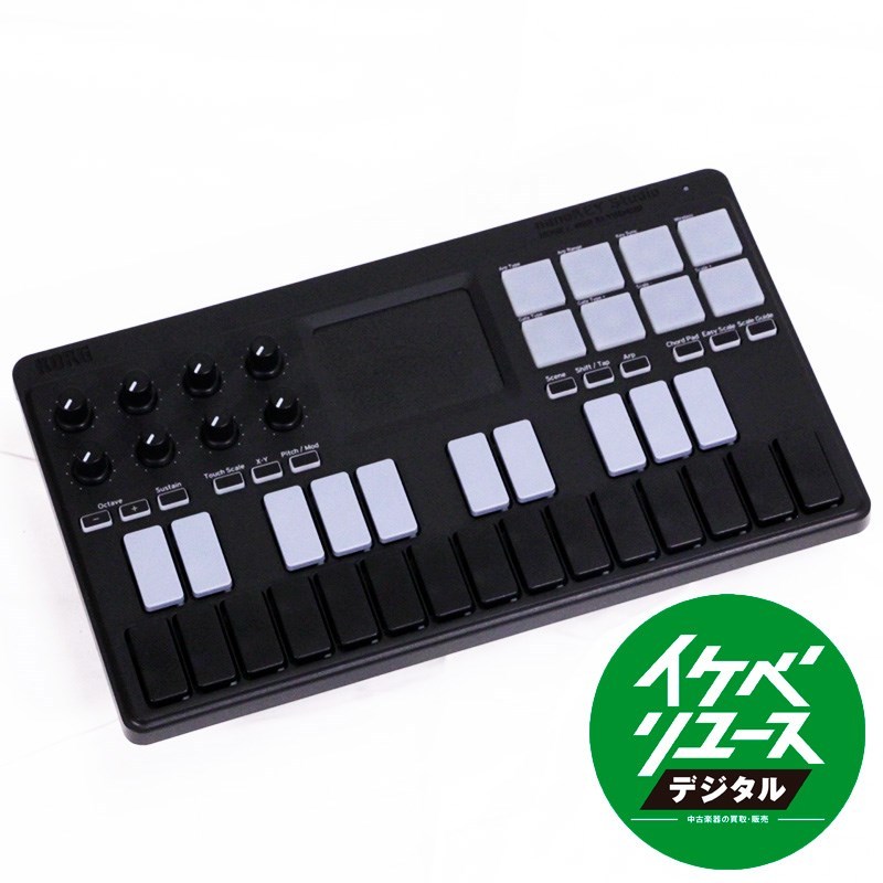 Amazon.co.jp: KORG(コルグ) MIDIキーボード nanoKEY Studio DTM