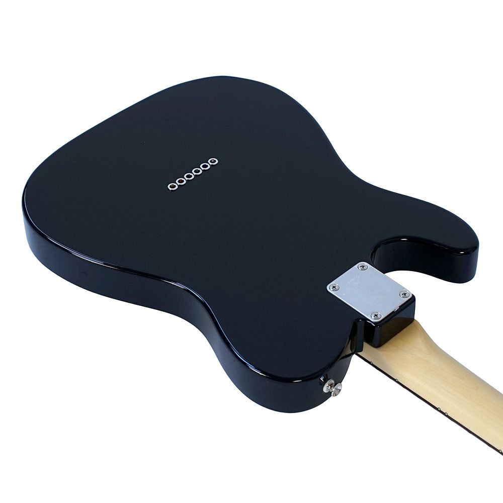 FUJIGEN(FGN) フジゲン FGN Neo Classic NTE100RAL BK テレキャスター