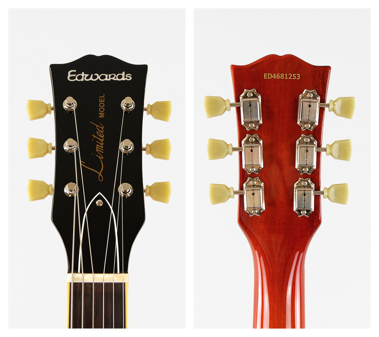 EDWARDS E-LP-STD (VHB)（新品/送料無料）【楽器検索デジマート】