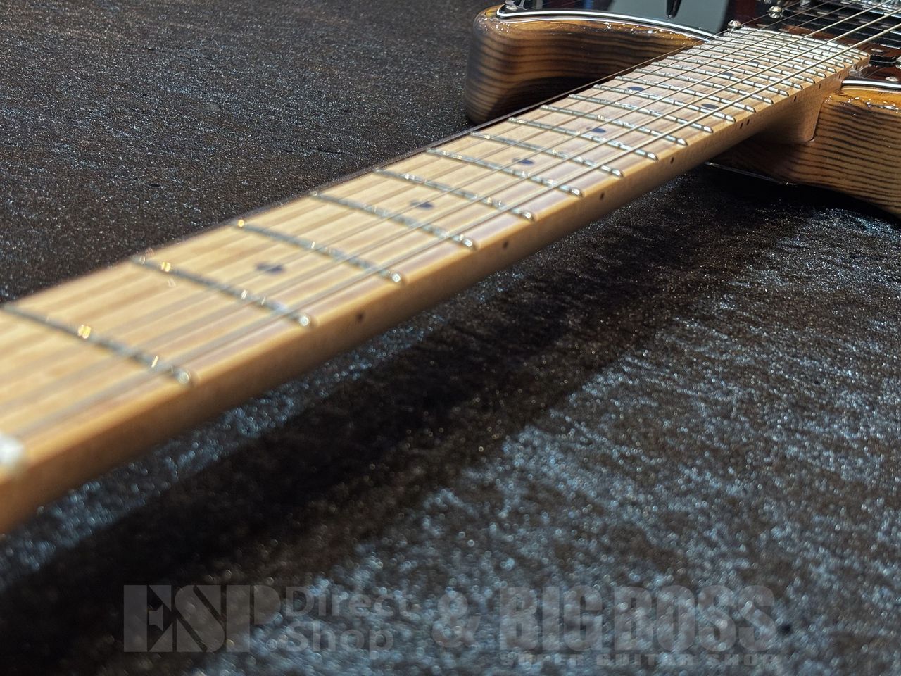 EDWARDS E-SNAPPER-AS/M 【Burner Natural】（新品特価/送料無料
