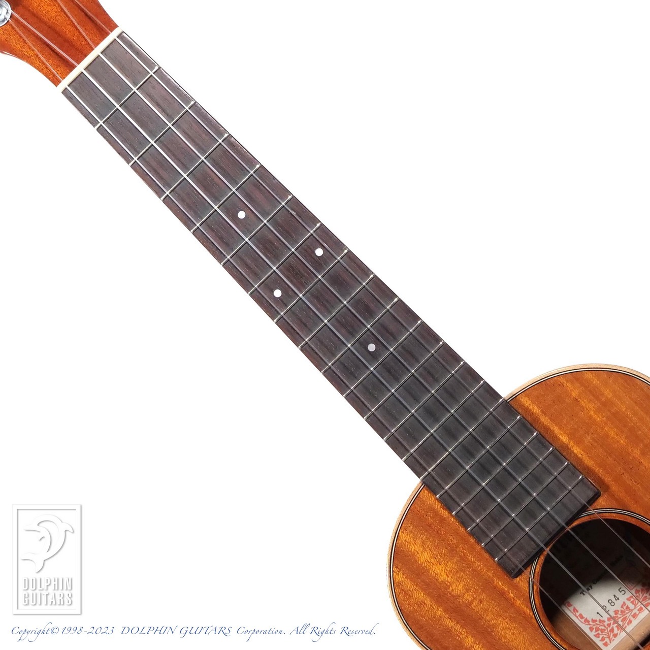ASTURIAS Tiny Concert Maho（新品）【楽器検索デジマート】