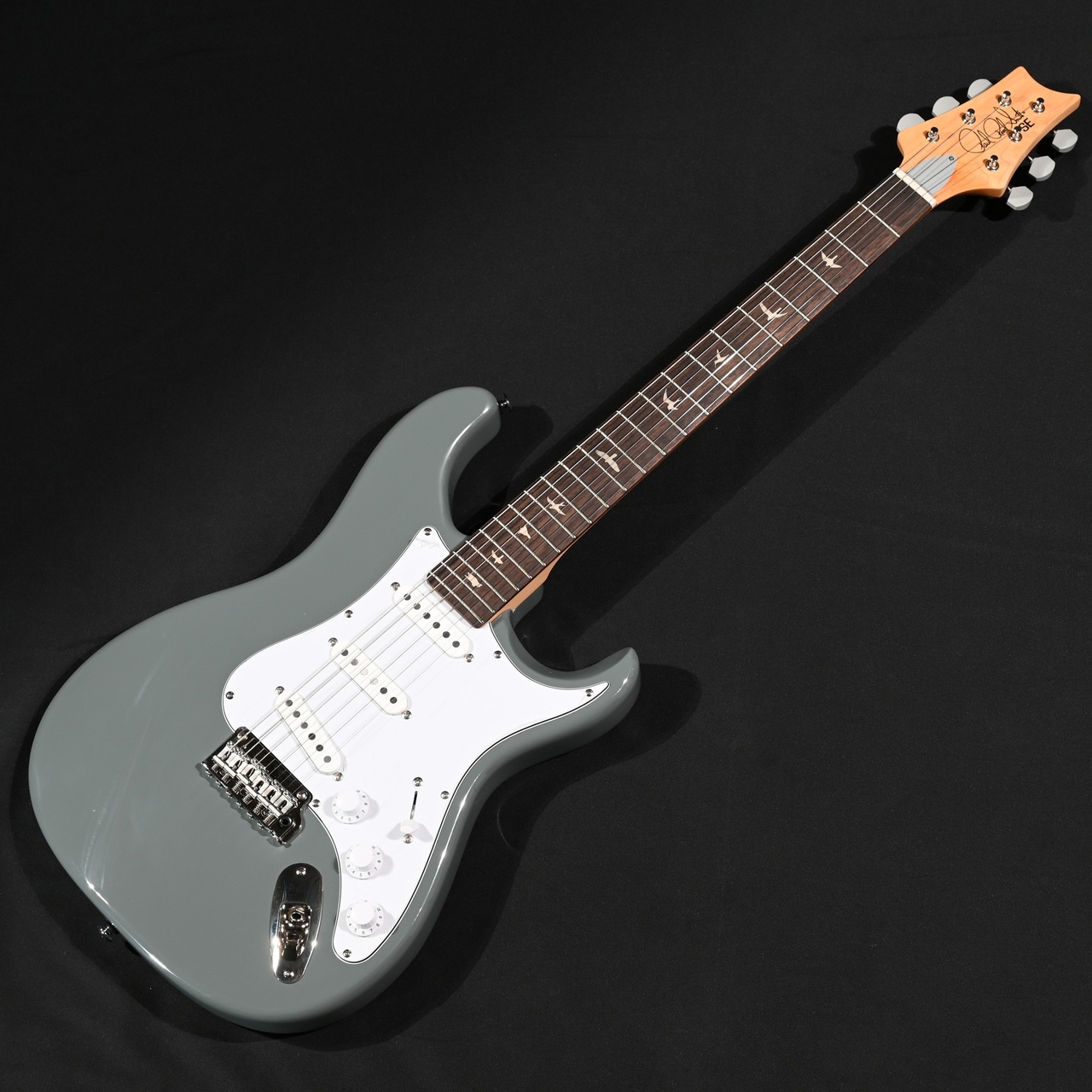 Paul Reed Smith(PRS) SE Silver Sky Rosewood 8J Storm Gray S/N