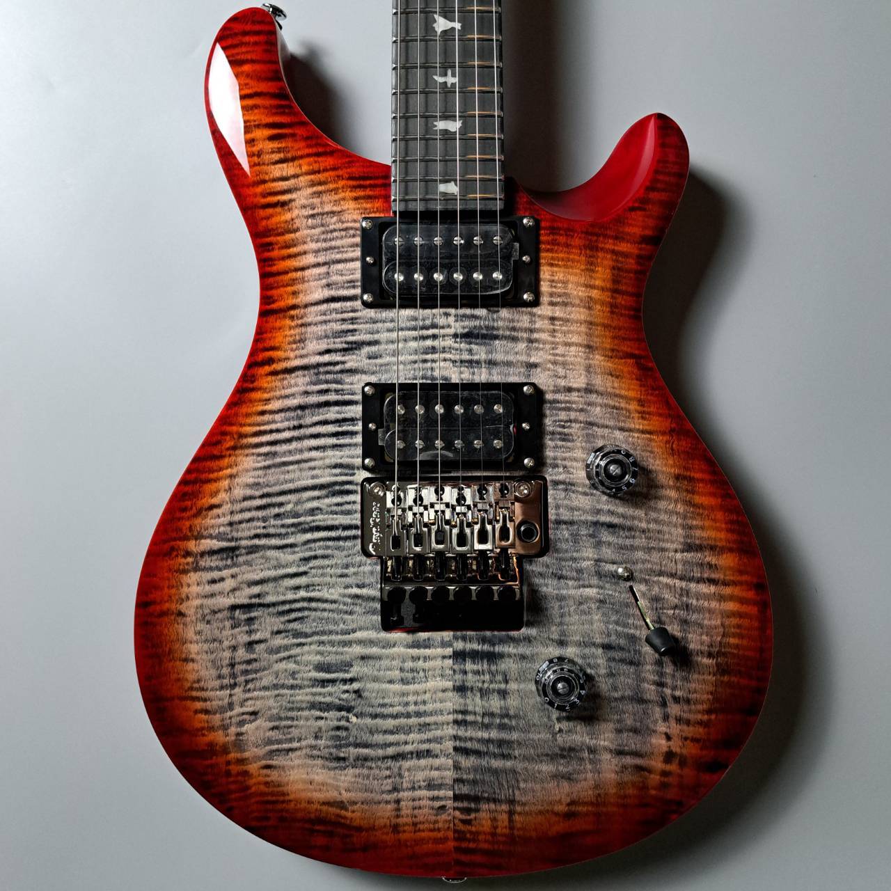 Paul Reed Smith(PRS) SE CUSTOM 24 FLOYD／Charcoal Cherry