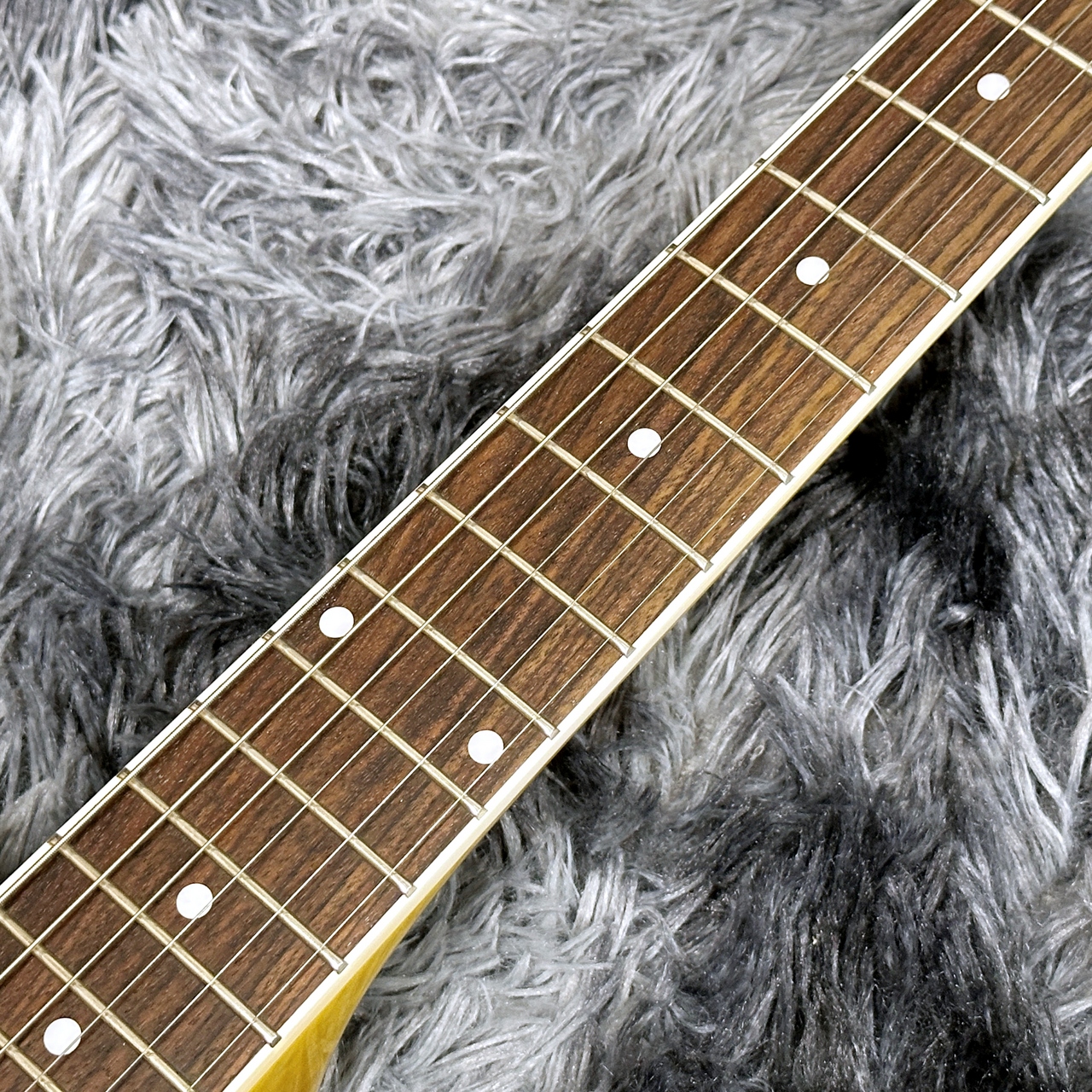 Tokai LSS-101 SYW (See Through Yellow)【展示入替特価】【2025
