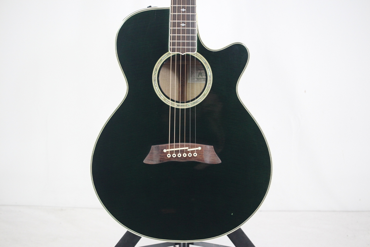 Takamine NPT-110（中古）【楽器検索デジマート】