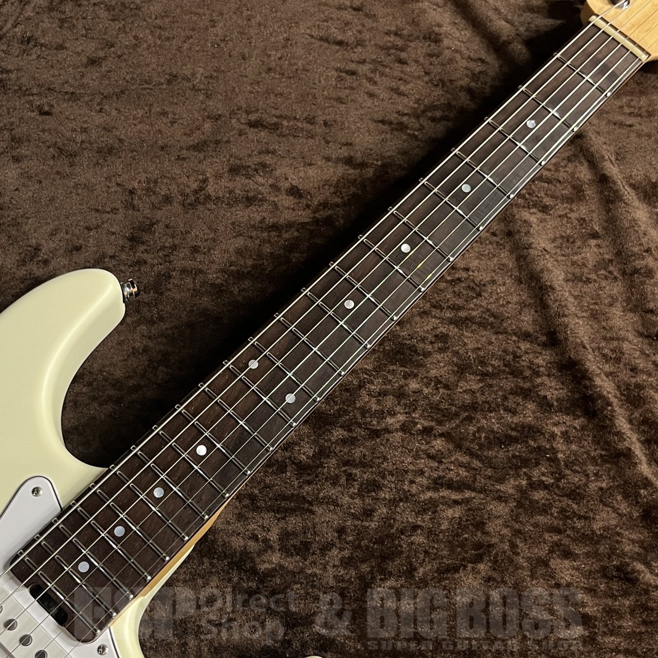 ESP Custom Order SNAPPER-AL/R Medium Scale（中古/送料無料）【楽器