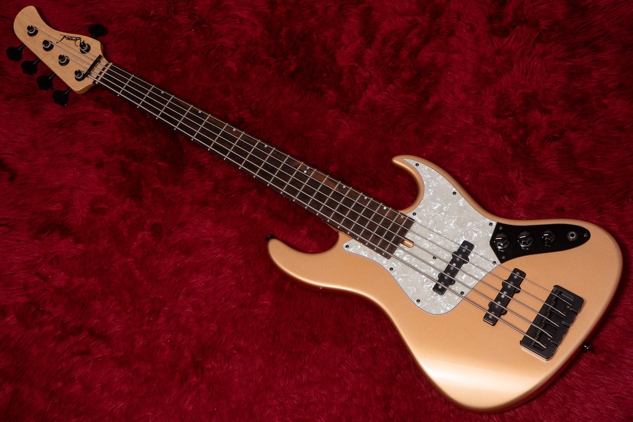 Wood Custom Guitars Vibe Standard-5 19Pitch Model BGM 4.275kg #013