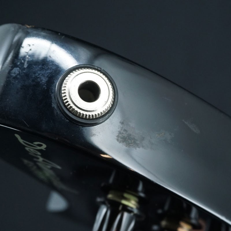 DeArmond Ashbory Bass フレットレス アッシュボリー piezo pickup