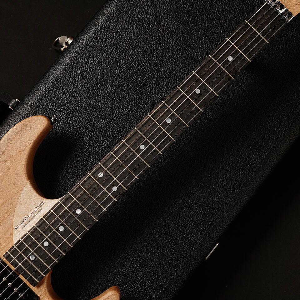 Washburn N4-NUNO VINTAGE #6554【3.17 kg】（新品/送料無料）【楽器
