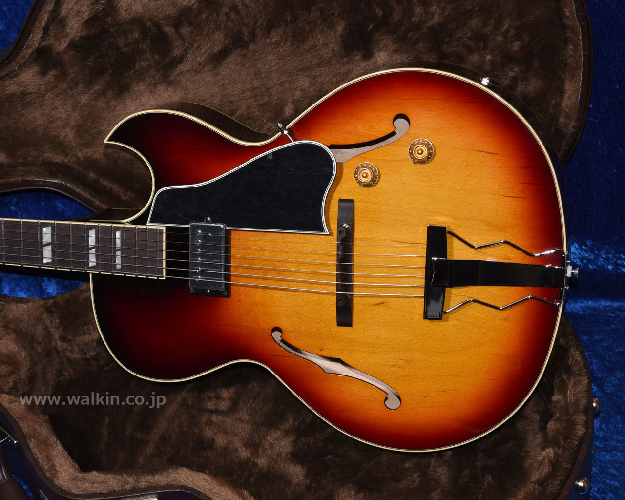 Archtop Tribute AT105(新品)【楽器検索デジマート】 Archtop Tribute AT105(新品)【楽器検索デジマート】