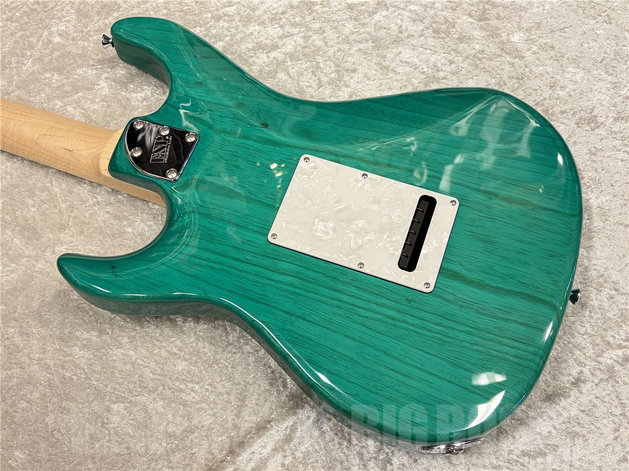EDWARDS E-SNAPPER-AS/M【Turquoise】（新品/送料無料）【楽器検索
