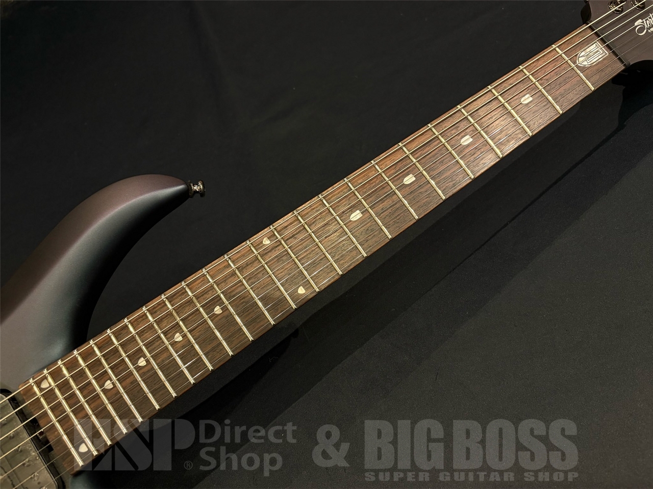 Sterling by MUSIC MAN MAJ170 / ARCTIC DREAM（新品/送料無料）【楽器
