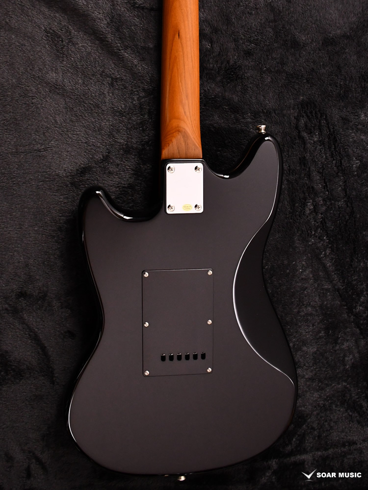 Bacchus バッカス BMS-1-RSM/M-TTPG BLK(ブラック) CAR べっ甲柄