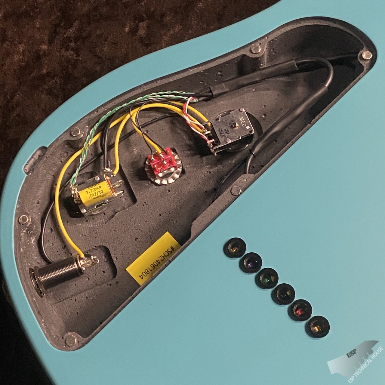 RUF Guitars Master Schrödinger 6 【Turquoise】（新品/送料無料