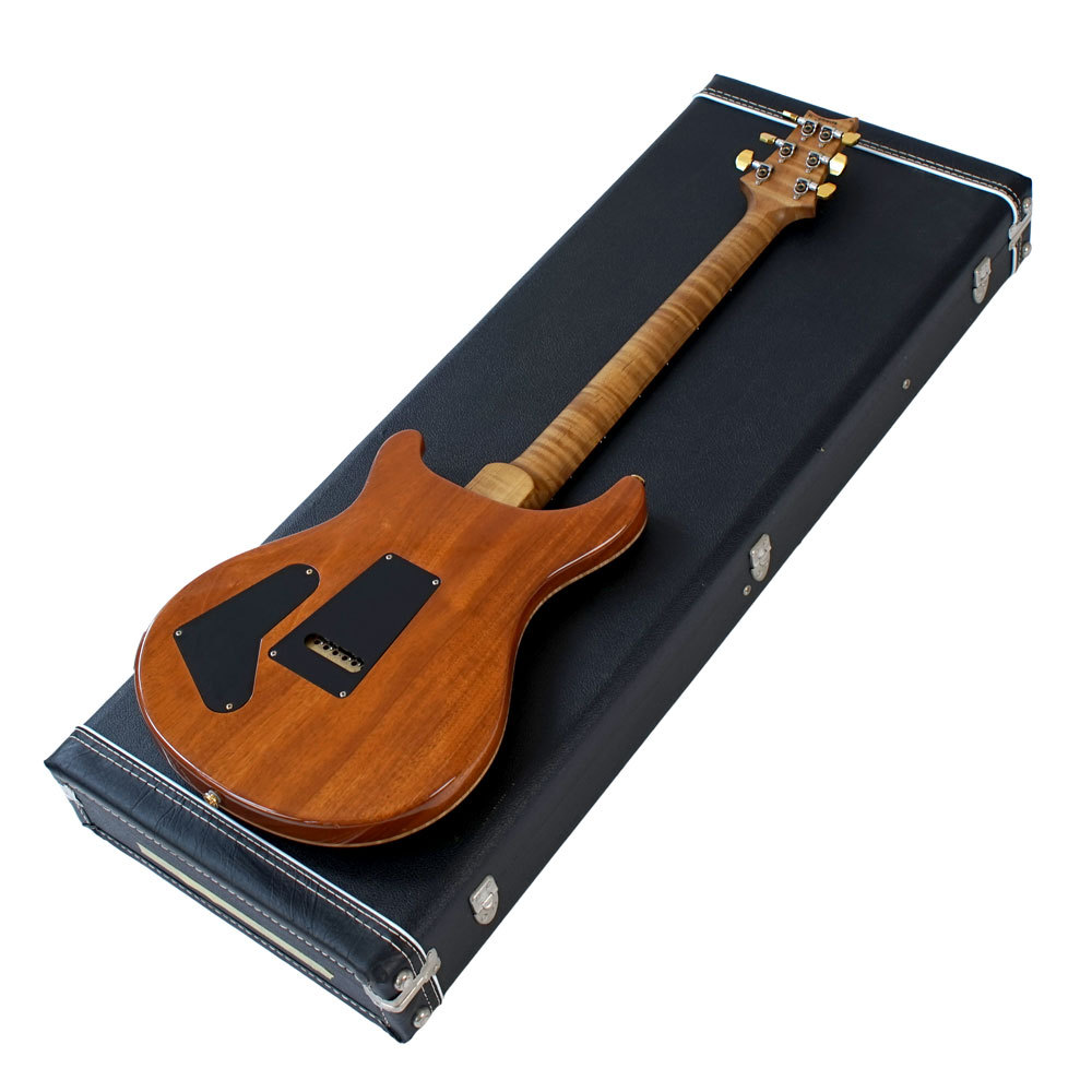 Paul Reed Smith(PRS) 【中古】 PRS Special 22 Semi-Hollow Wood