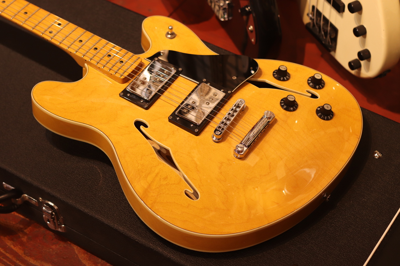 ※セール最終Fender Starcaster レアモデル/復刻版 Fender Modern Player Starcaster (Fender Logo スターキャスター