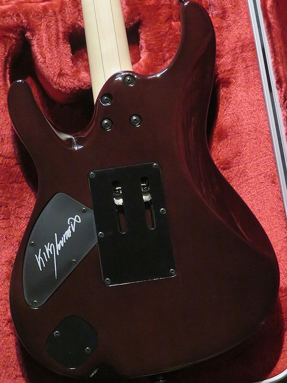 Ibanez 【超杢!激カッコイイ個体!】KIKO100 -TRR- #F2516766