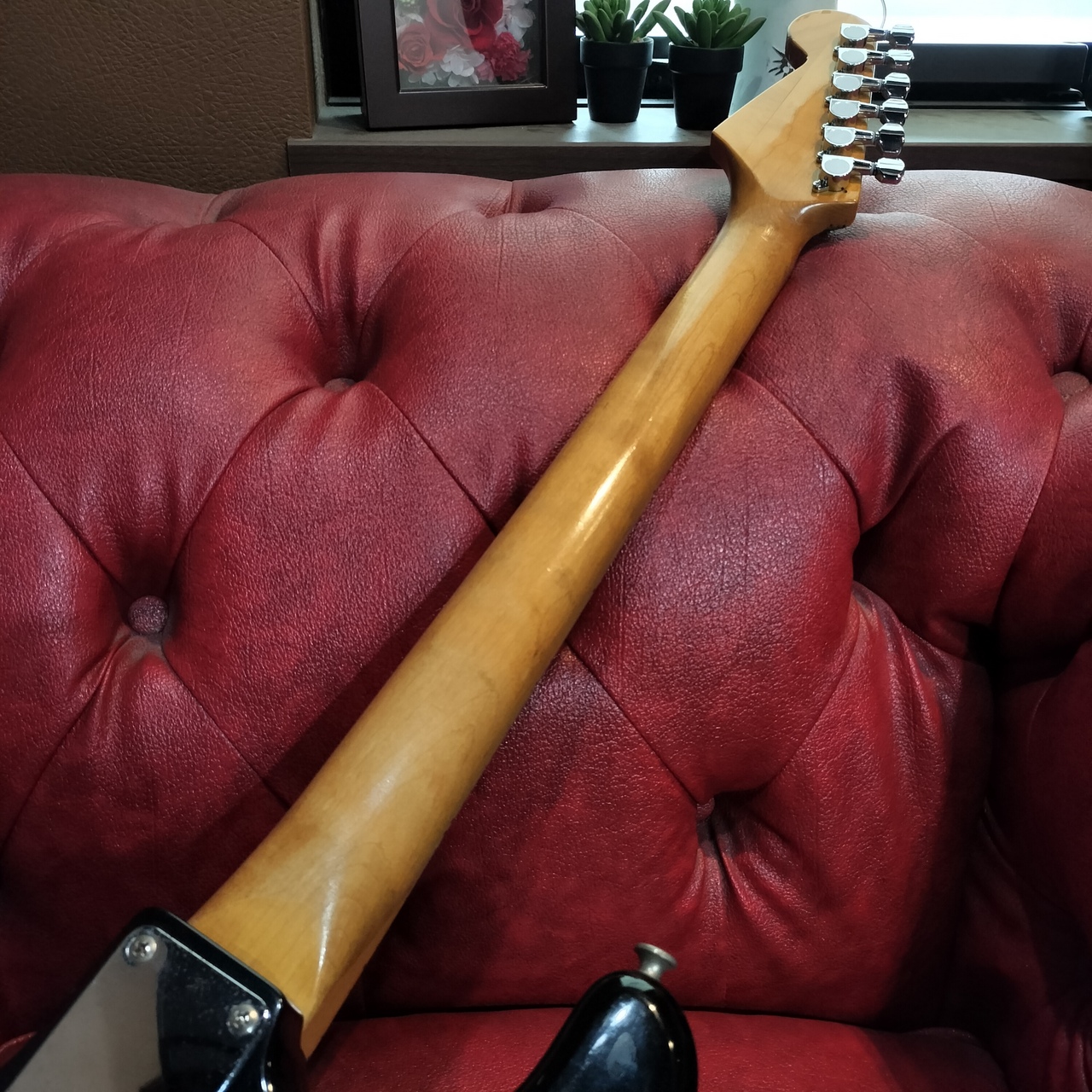 NO BRAND Stratocaster Type（中古）【楽器検索デジマート】