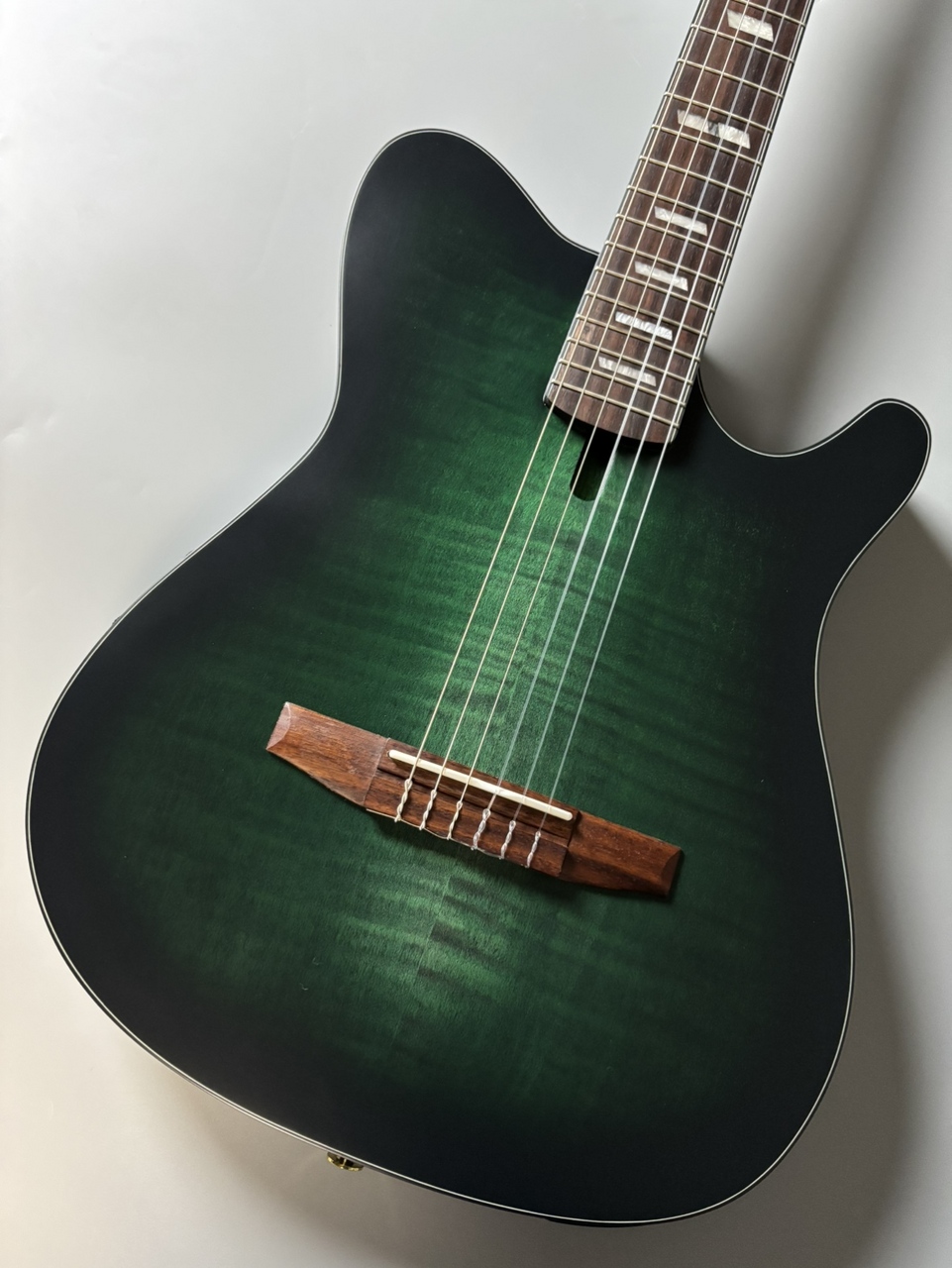 Ibanez FRH20FMN エレガットギター（新品/送料無料）【楽器検索