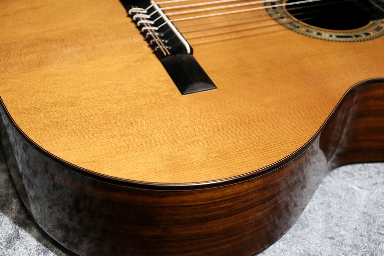 Orpheus Valley Guitars F65CW-7S 7弦 エレガット - アコースティック 