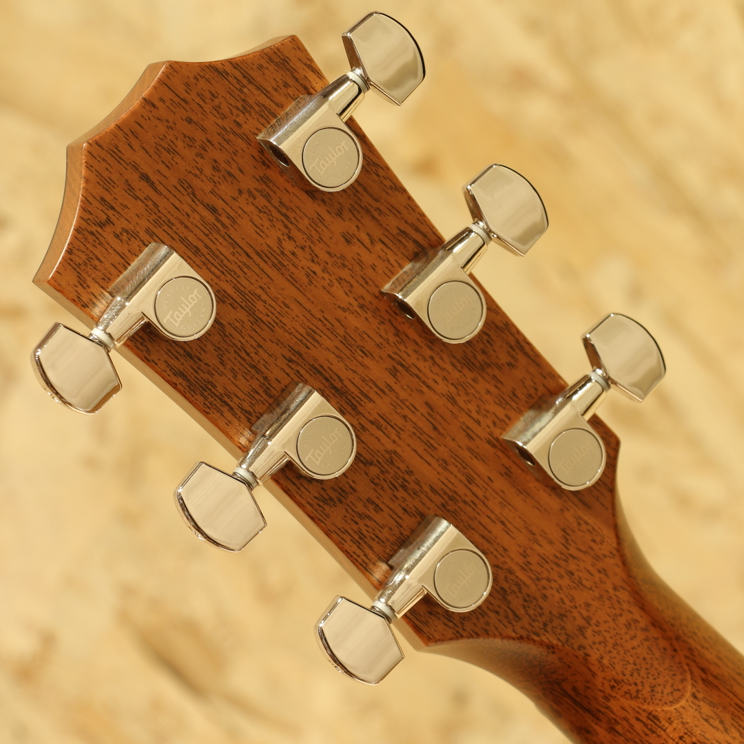 Taylor 514ce LTD 2022（中古）【楽器検索デジマート】