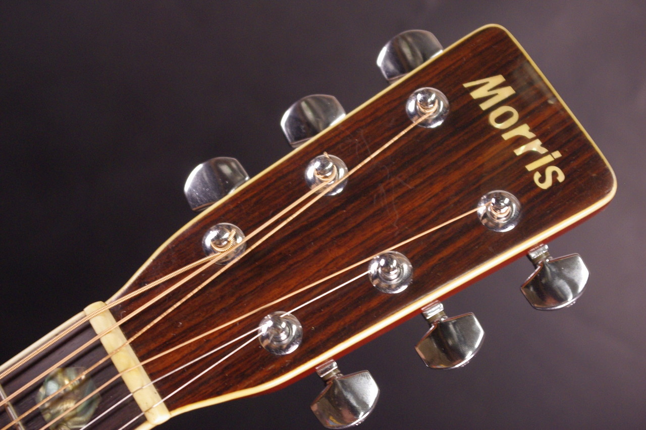 Morris W40 ビンテージ サンバースト コレクター Morris W40 ビンテージ サンバースト コレクター（楽天市場