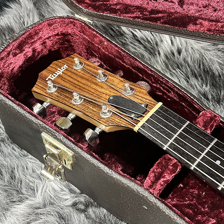 Taylor 316ce-JPN-LTD ES1 2014（中古/送料無料）【楽器検索デジマート】