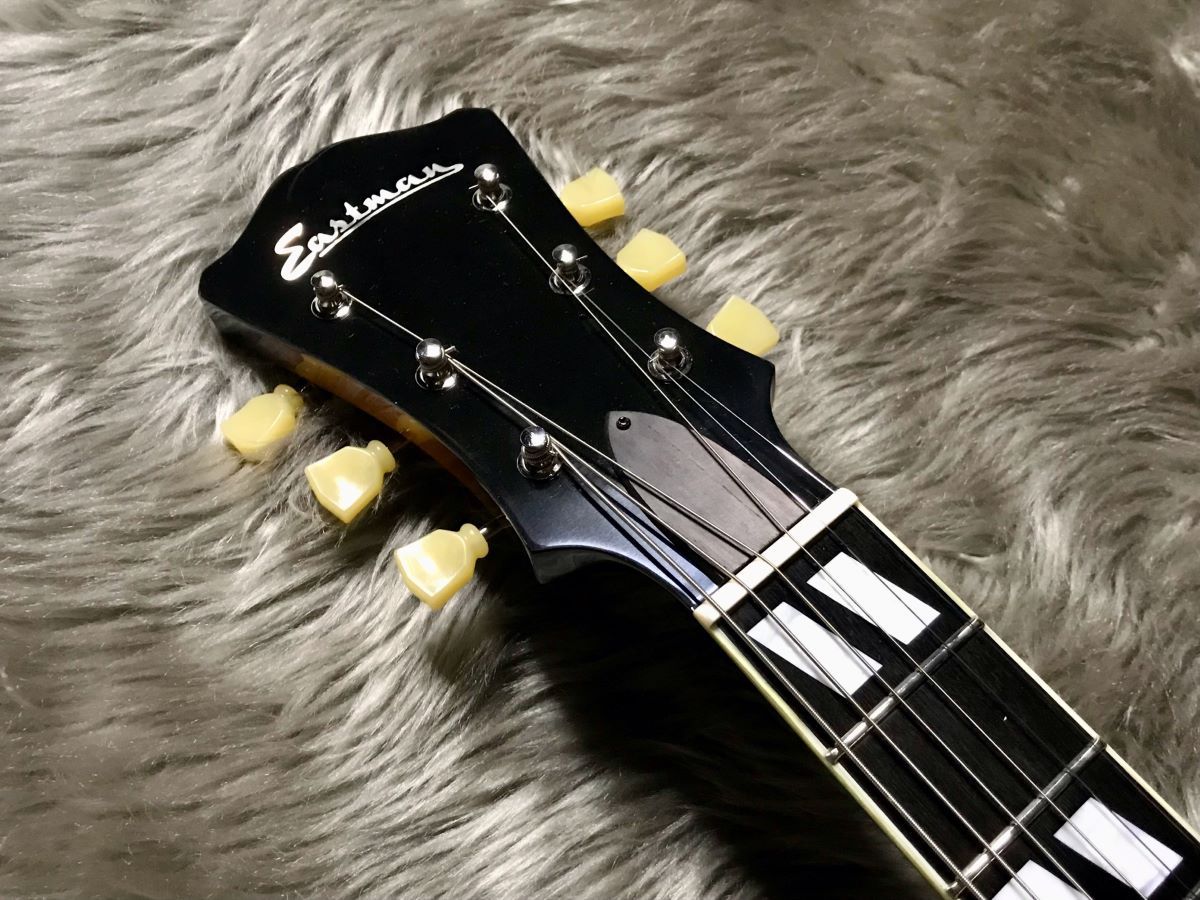 Eastman AR-175CE/D フルアコギター(新品/送料無料)【楽器検索 ...