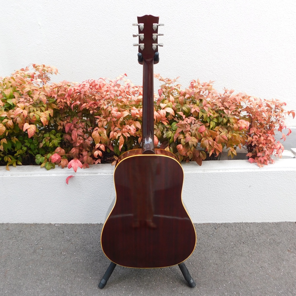 Burny BJ-60（中古）【楽器検索デジマート】