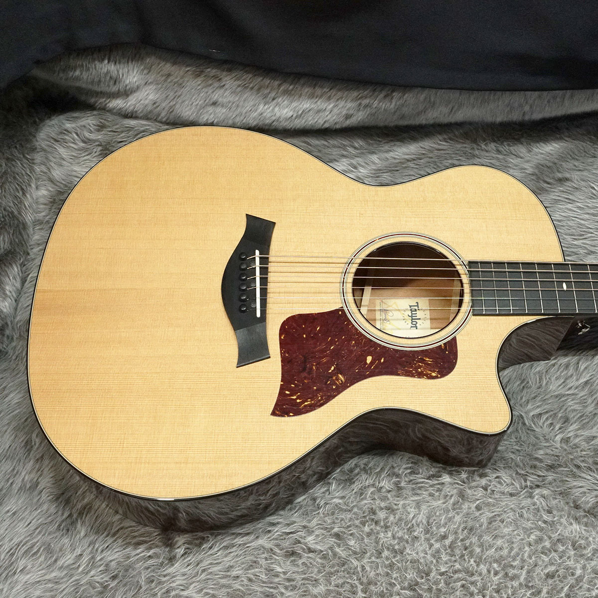 Taylor 《特価》514ce V-Class 《生産完了モデル》（新品特価