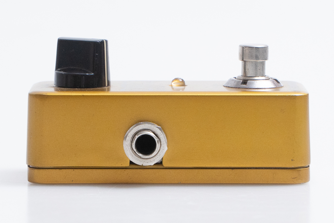 tc electronic DITTO LOOPER Gold Limited【GIB横浜】（中古
