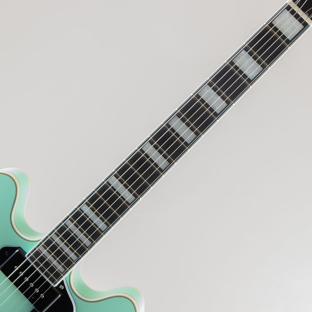 Seventy Seven Guitars EXRUBATO-ZEBRA FINCH / Surf Green
