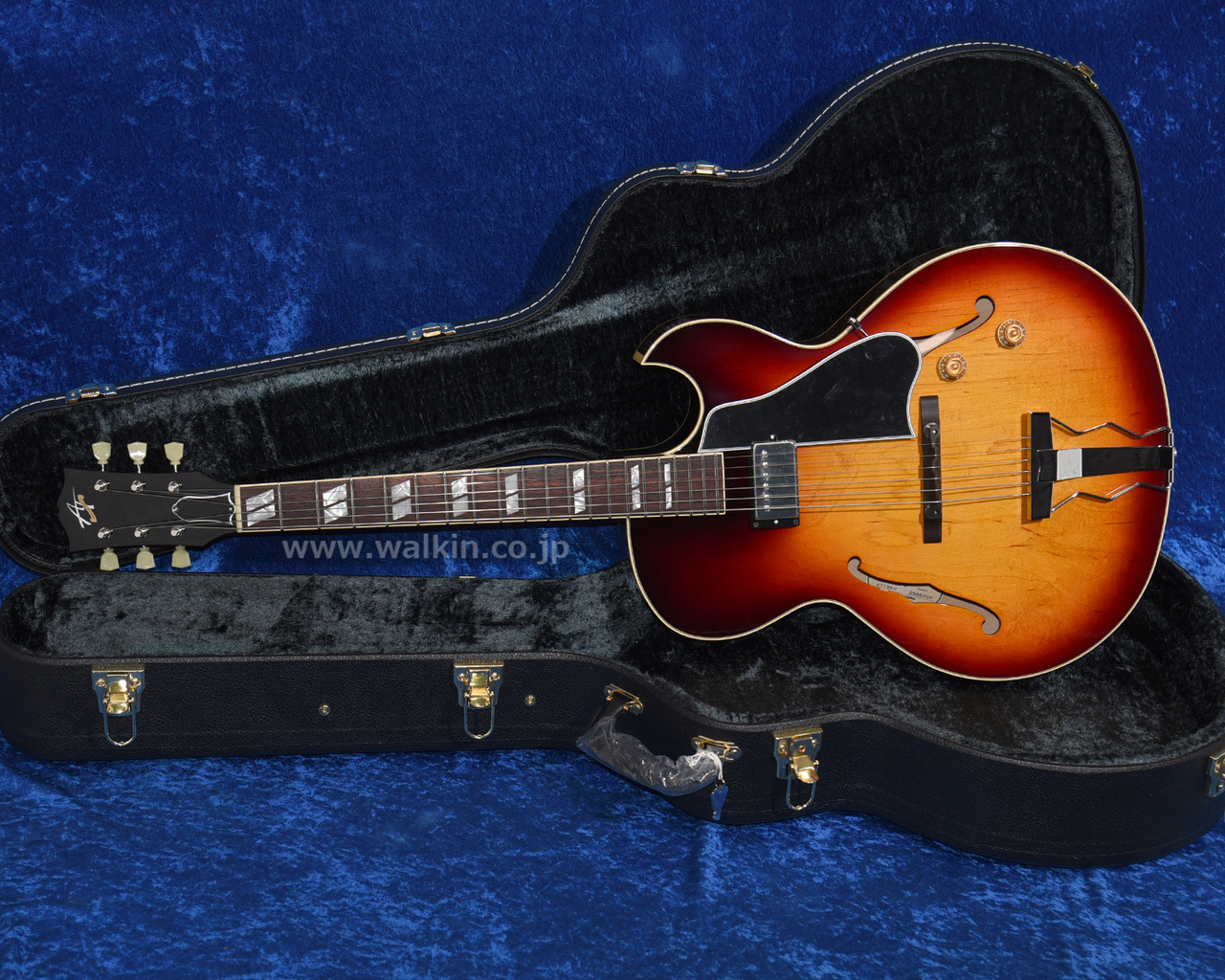 4月購入美品！175タイプ　Archtop Tribute AT105 ケース付 Archtop Tribute AT105 Classic 買取りました。デジマートにて