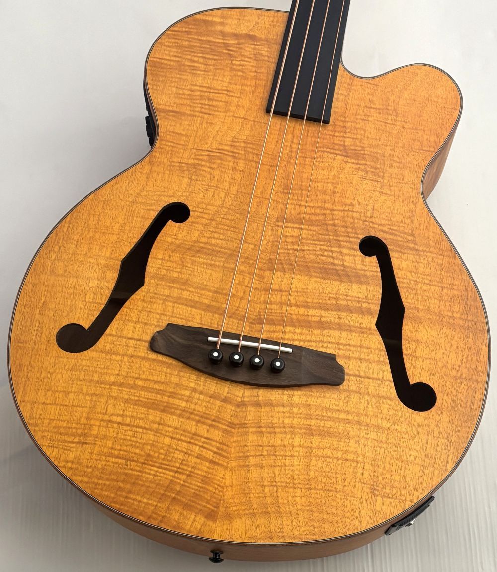 ARIA FEB-F2/FL -STBR- 【NEW】（新品）【楽器検索デジマート】