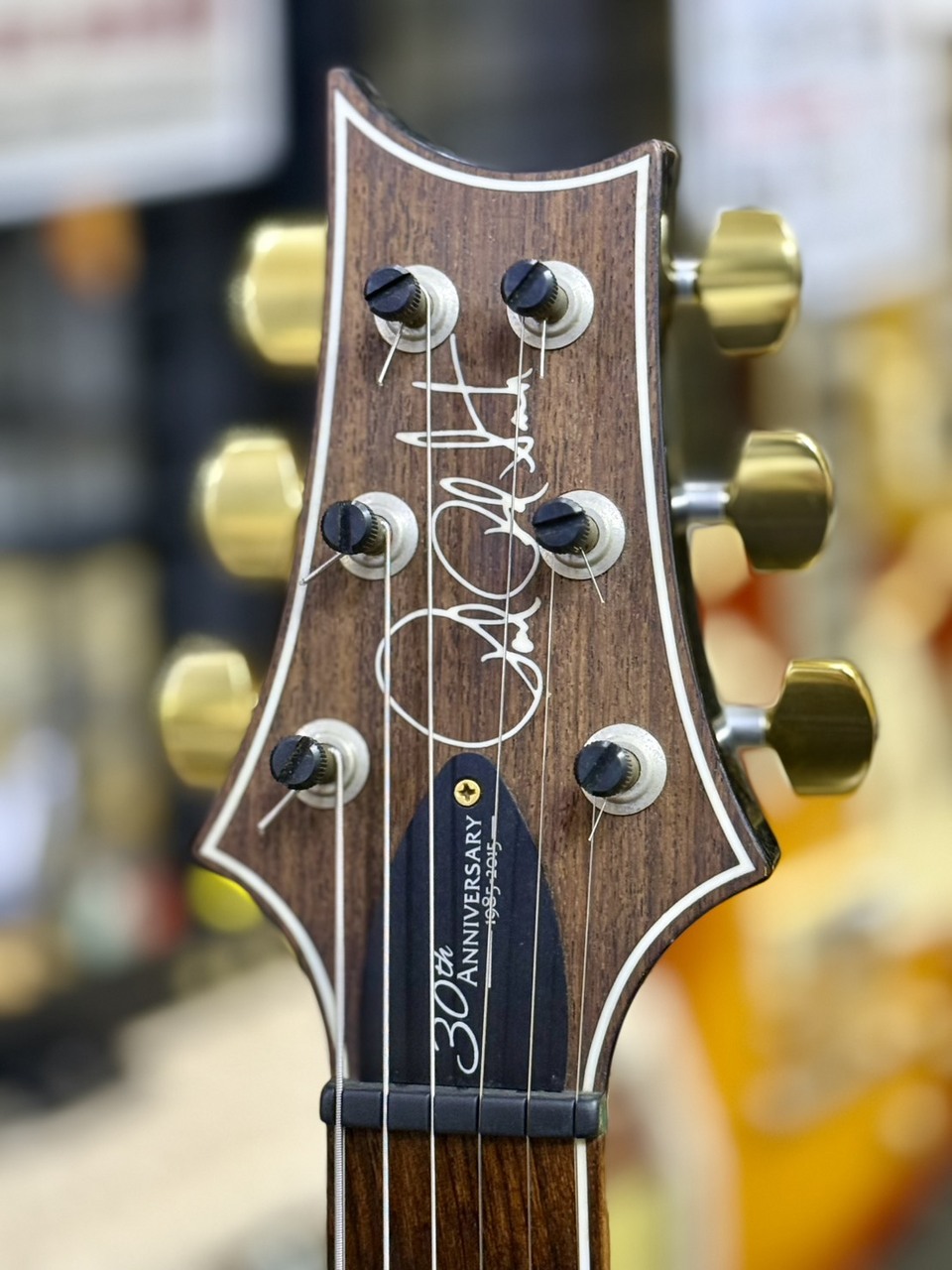 Paul Reed Smith(PRS) Custom 24 10Top 30th Anniversary【3.31Kg