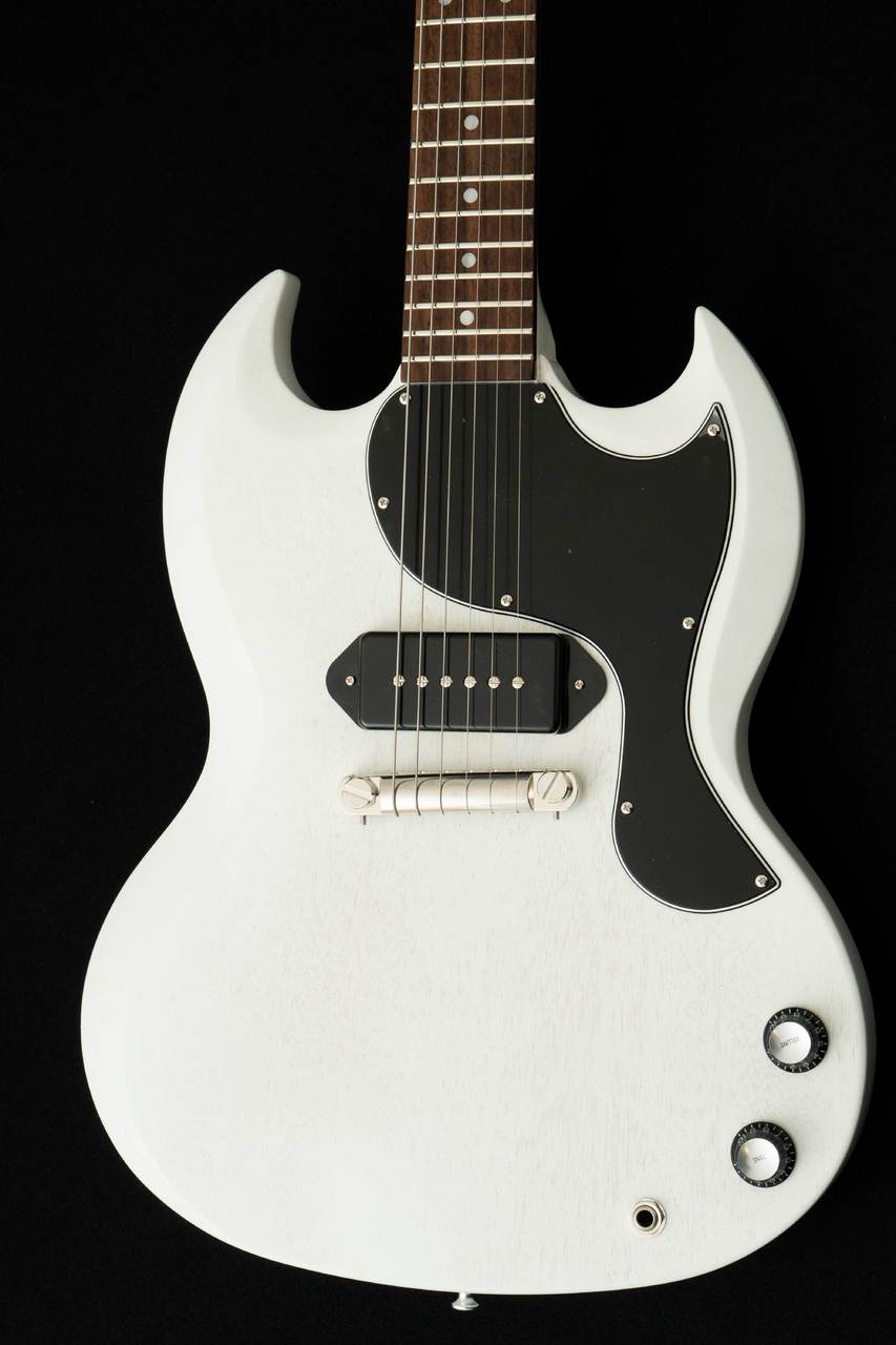 EDWARDS E-SG-JR-LTD -Antique White- #ED2532253 【数量限定生産