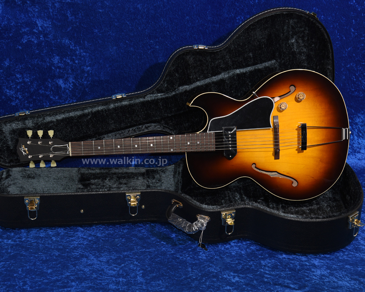 ギター Archtop Tribute AT101 Archtop Tribute AT101 Classic（新品）【楽器検索デジマート】