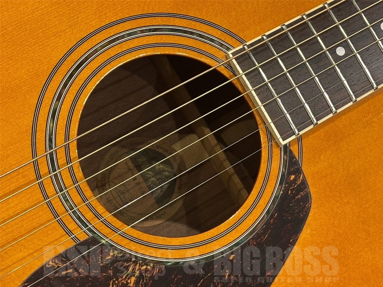 Morris MF501 / Natural（中古/送料無料）【楽器検索デジマート】